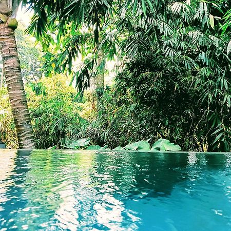 Hotel Ngesil Private Joglo & Pool Ubud Zewnętrze zdjęcie