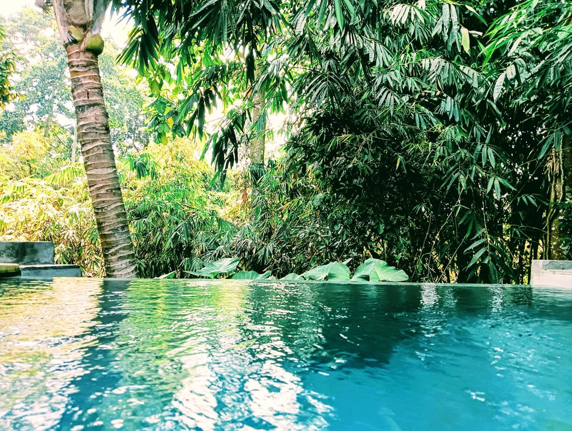 Hotel Ngesil Private Joglo & Pool Ubud Zewnętrze zdjęcie